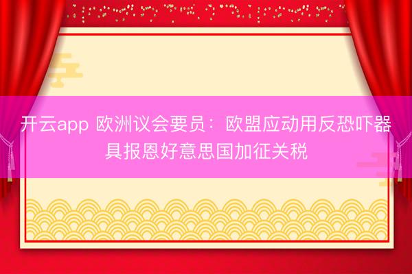 开云app 欧洲议会要员:欧盟应动用反恐吓器具报恩好意思国加征关税