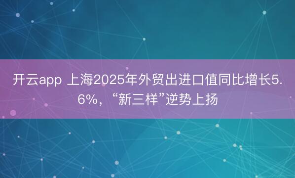 开云app 上海2025年外贸出进口值同比增长5.6%,“新三样”逆势上扬