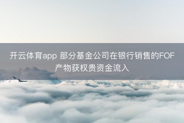 开云体育app 部分基金公司在银行销售的FOF产物获权贵资金流入