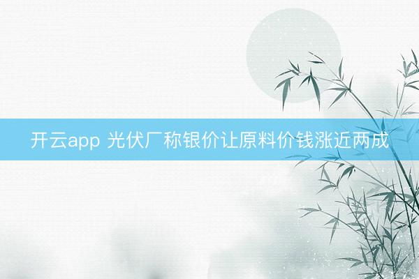 开云app 光伏厂称银价让原料价钱涨近两成