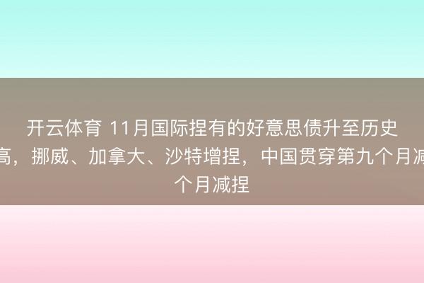 开云体育 11月国际捏有的好意思债升至历史最高,挪威、加拿大、沙特增捏,中国贯穿第九个月减捏