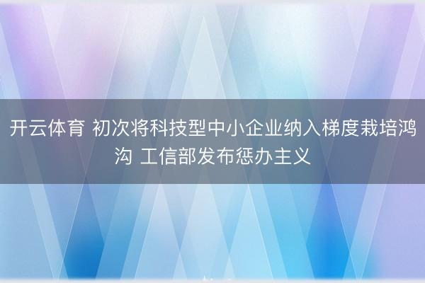 开云体育 初次将科技型中小企业纳入梯度栽培鸿沟 工信部发布惩办主义