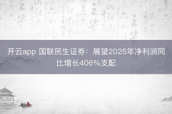 开云app 国联民生证券：展望2025年净利润同比增长406%支配