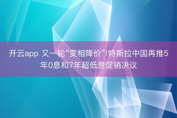 开云app 又一轮“变相降价”!特斯拉中国再推5年0息和7年超低息促销决议