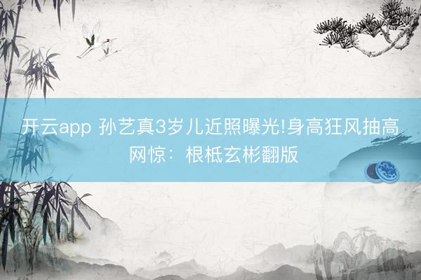 开云app 孙艺真3岁儿近照曝光!身高狂风抽高 网惊：根柢玄彬翻版